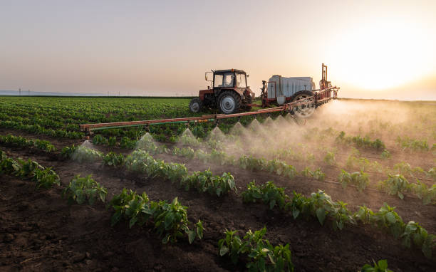 Pest Control Cost in Bourbonnais, IL