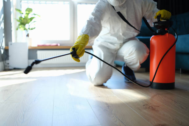 Best Flea Control Services  in Bourbonnais, IL
