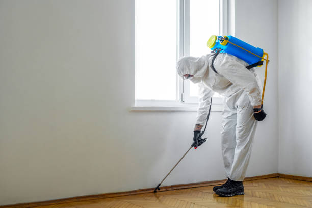 Best Wildlife Control Services  in Bourbonnais, IL