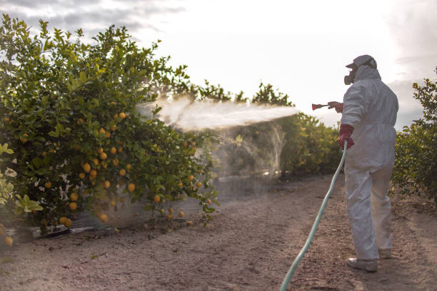 Best Pest Control Cost  in Bourbonnais, IL
