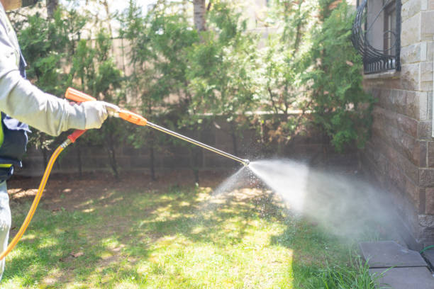 Best Bed Bug Extermination  in Bourbonnais, IL