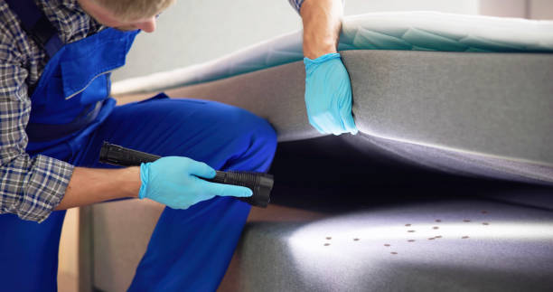 Best Bed Bug Extermination  in Bourbonnais, IL