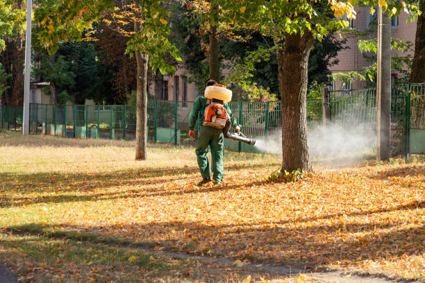 Reliable Bourbonnais, IL Pest Control Solutions