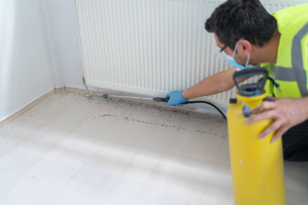 Best Pest Removal Services  in Bourbonnais, IL
